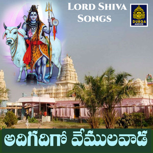 Adigadigo Vemulawada