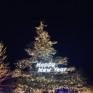 落日飞车下的心灵治愈