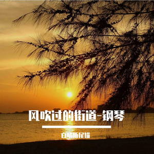 风吹过的街道