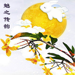 穿军装的川妹子