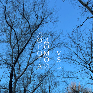 Дорога домой