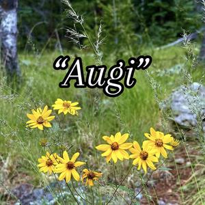 Augi (Piano edits)