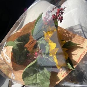 者思范Remix-New_你永远是我的首选0.8（听不完的wyy remix）