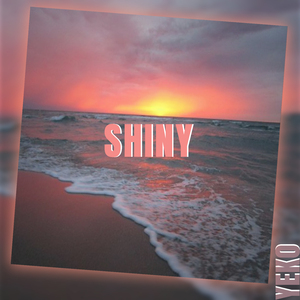 Shiny