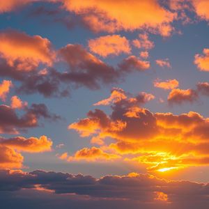 未曾谋面的也终将会相遇