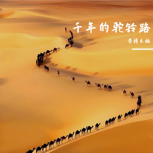 千年的驼铃路  伴奏