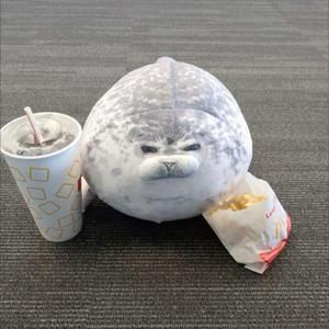 Seals (feat. Fonjik)