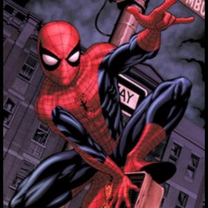 WEB PAGE