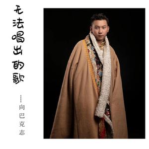 无法唱出的歌