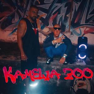 Allo la terre (feat. VALENTINIK)