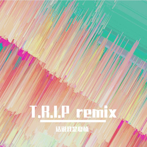 mc jz-T.R.I.P（fusion mix）（话说我是夏楠 remix）