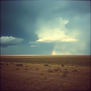 Don't Mess Wit My Family Tree