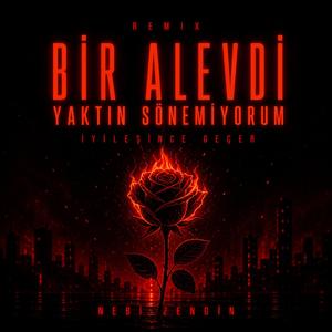 Bir Alevdi Yaktın Sönemiyorum (feat. İyileşince Geçer) ( Remix)