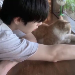 独来独往像个高手