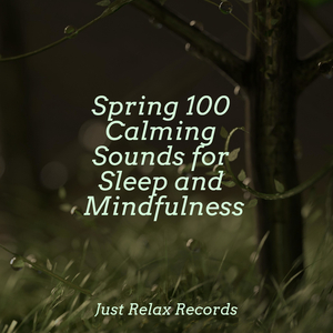 Ocean's Endless Dance