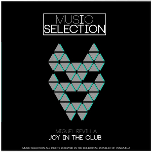 Joy In The Club (Original Mix)