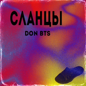Сланцы