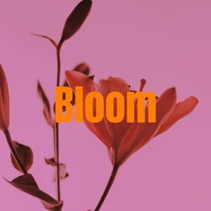 Bloom