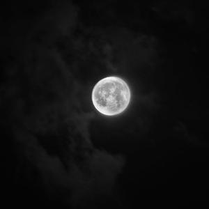 Luna