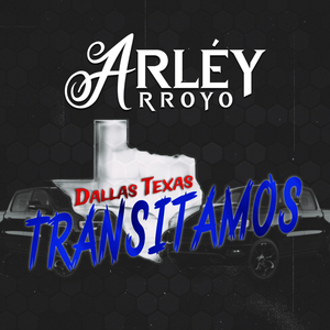 Dallas Texas Transitamos