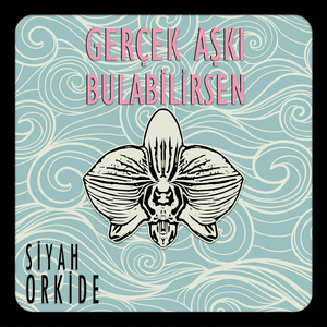 Gerçek Aşkı Bulabilirsen