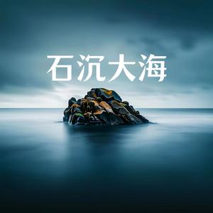 石沉大海（DJ版）