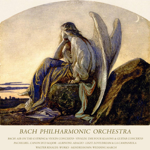 Violin Concerto in a Minor, No. 1, BWV 1041: II. Andante