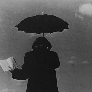 腐草为莹(大熊版)