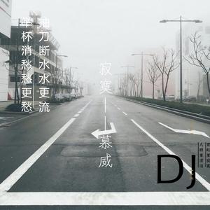 幻昼（手碟版）Remix