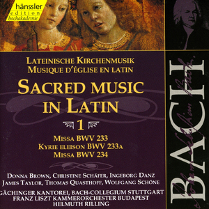 Mass in A Major, BWV 234: Quoniam tu solus sanctus (Alto)