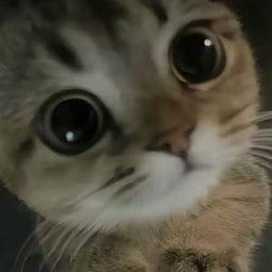 《和影子跳舞》