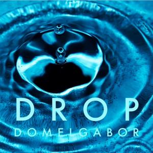 DROP (Dripping Water from a Clogged Pipe Mix) (Dripping Water from a Clogged Pipe Mix)