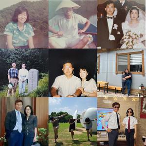 수요일 장미의 35년 Pop Rock