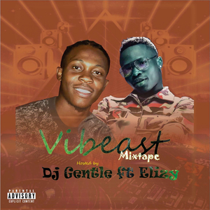 Vibeast Mixtape (DJ MIX)