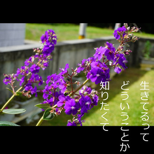 愛する (another ver.karaoke)