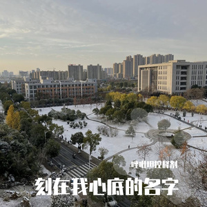 刻在我心底的名字