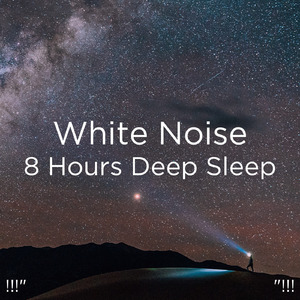 화이트 노이즈 수면