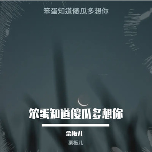 笨蛋知道傻瓜多想你