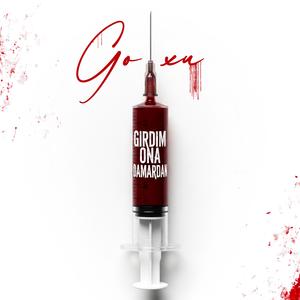 GİRDİM ONA DAMARDAN