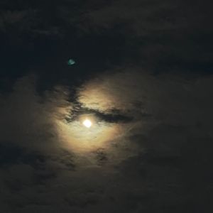 雨游