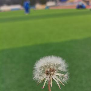 孤单星球（Cover叶琼琳）