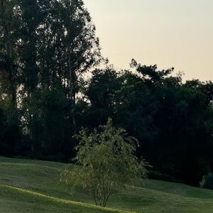 I DONT KNOW WAHT U MEAN