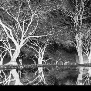 Inertia (feat. JayMoneyThaGod)