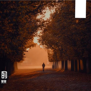 逐梦途上的风影月芒