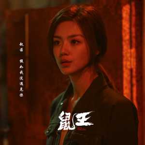 假如我没遇见你