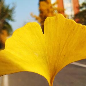 昨天的你的现在的未来