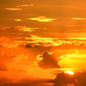 GS (Need Your Lovin)