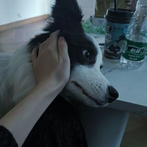 假裝快樂（0.9）