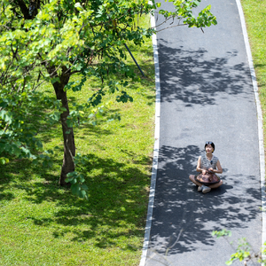 蒲英微风Zephyr Dandelion