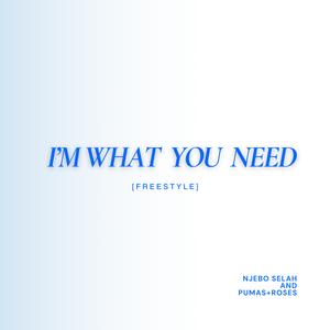 I'M WHAT YOU NEED ( FREESTYLE )